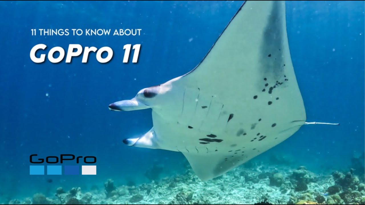 รีวิวโกโปร 11 ใต้น้ำ #GoProHERO11 black Underwater