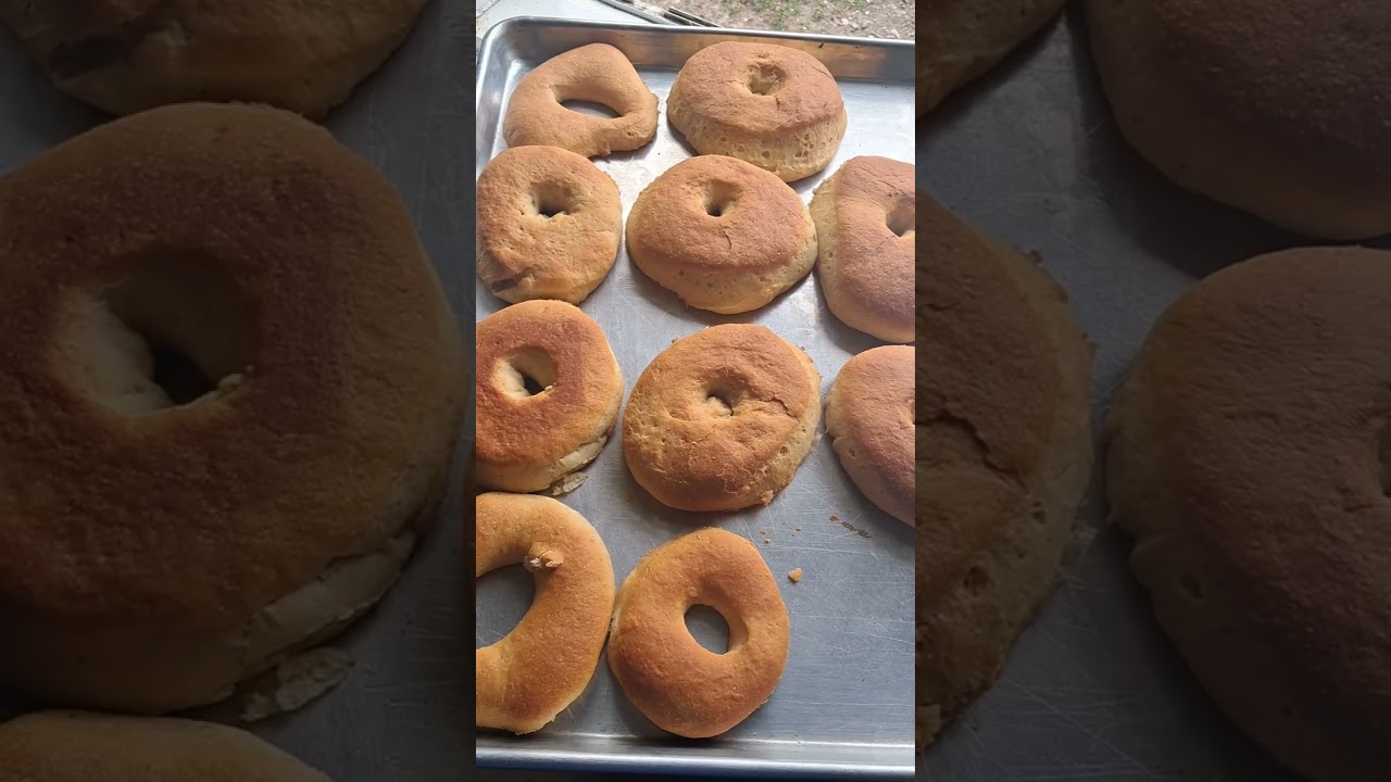 Quería Donas pero sin azúcar encima y las hice 