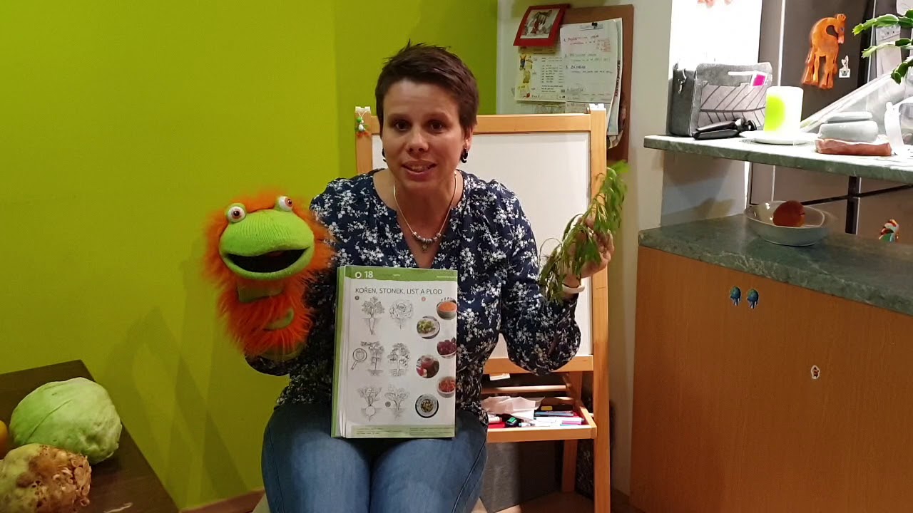 Prvouka 1. třída - rostlina - kořen, stonek, list a plod