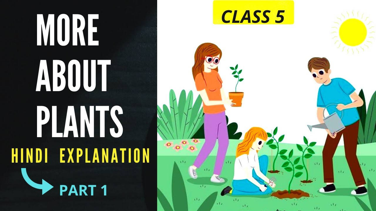 More about Plants-Part 1-Science-Class 5-Ncert-Hindi Explanation