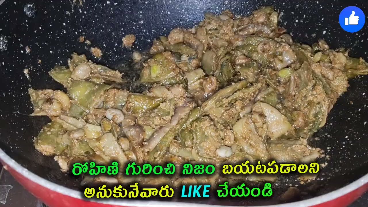 Gundeninda Gudigantalu Serial Review ప్రాణాపాయ స్థితిలో ఉన్న మీనాని ఇంటికి తీసుకువచ్చిన ఇన్స్పెక్టర్