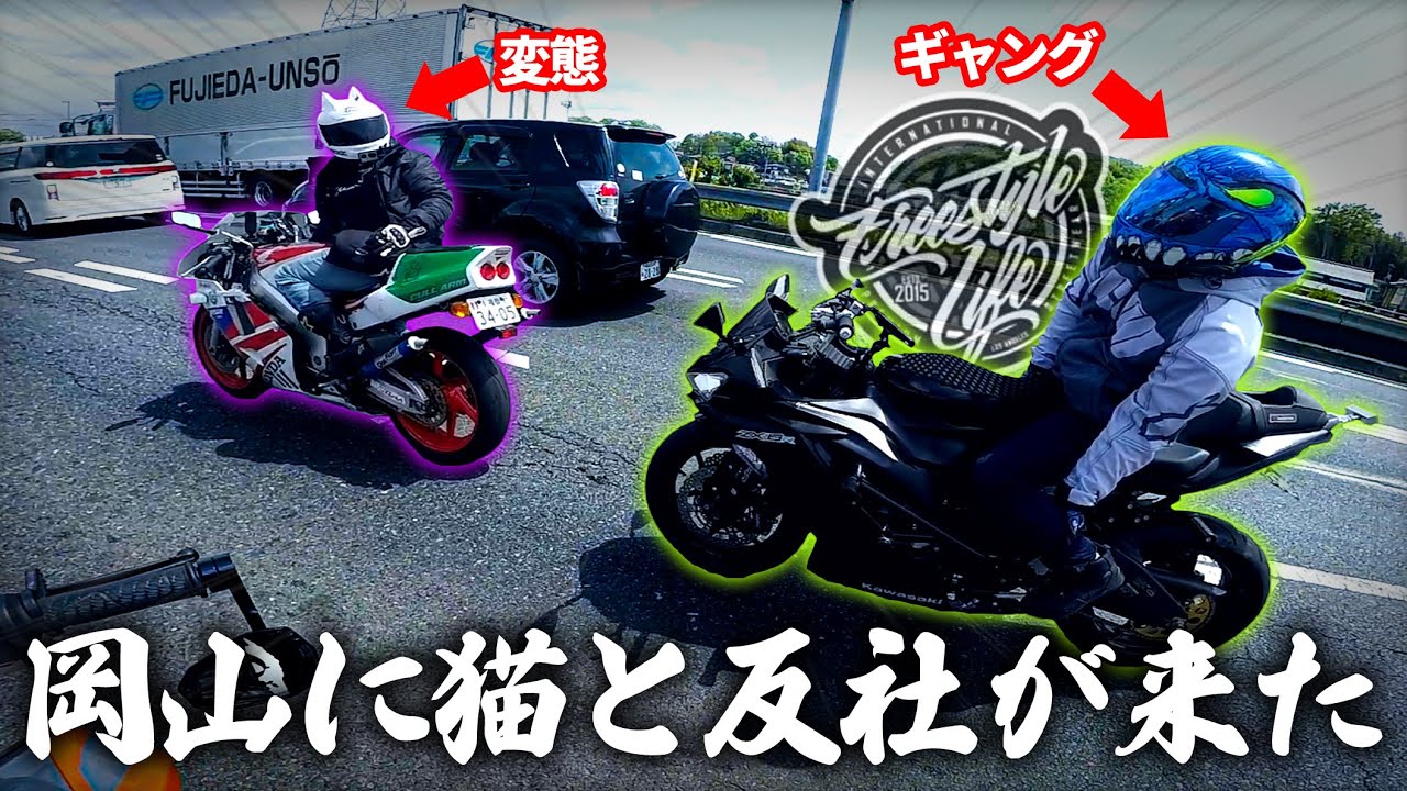 【※今回は平和です】岡山にフリスタとねこかずくんが来たゾ