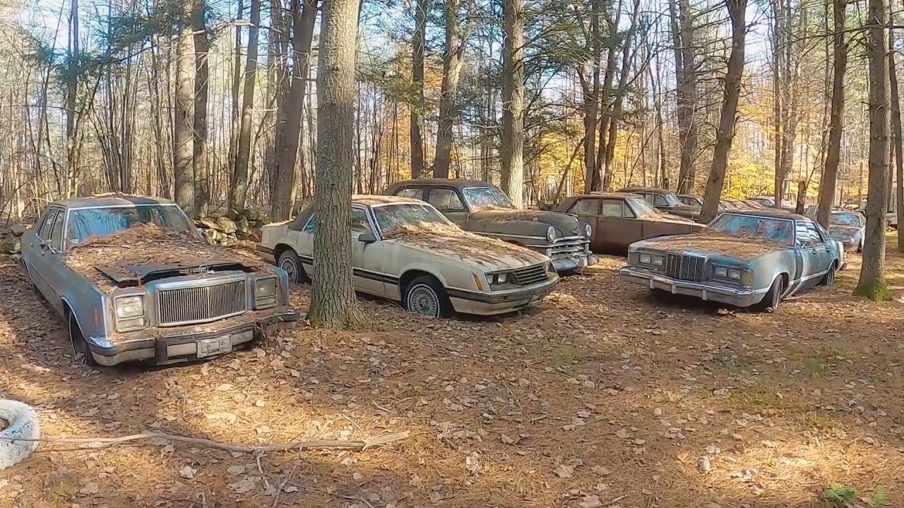 Exploring a 100 Year Old Junkyard! Full of Classics From the 1930s -1950s!