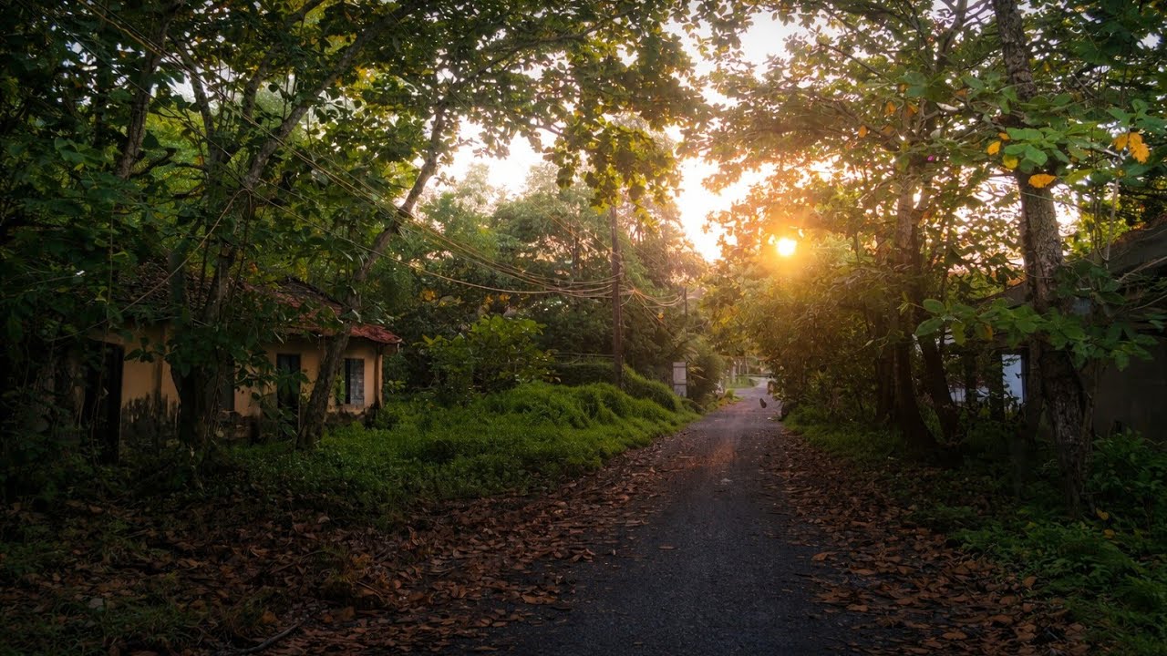 Walking Through Peaceful Paths