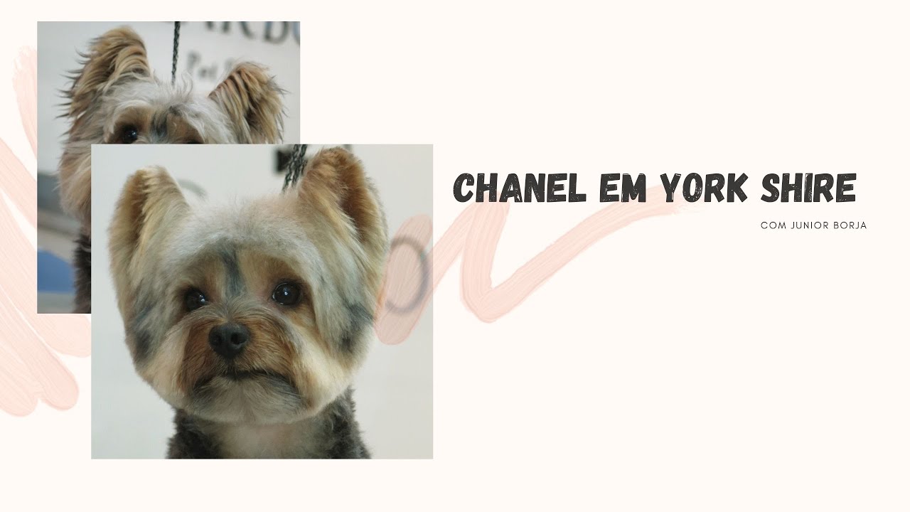 TOSA EM YORK SHIRE, COMO FAZER ROSTINHO CHANEL