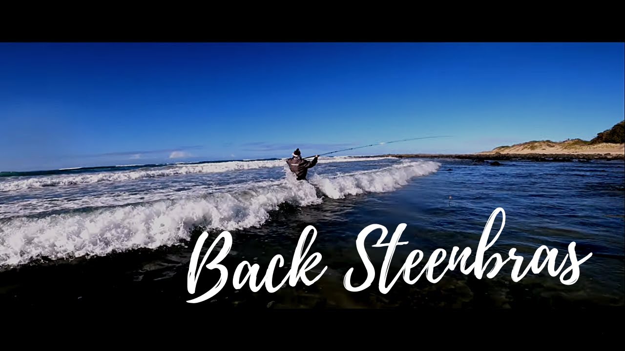 Black steenbras caught on assassin bluefish rod paired with a Shimano Saragosa