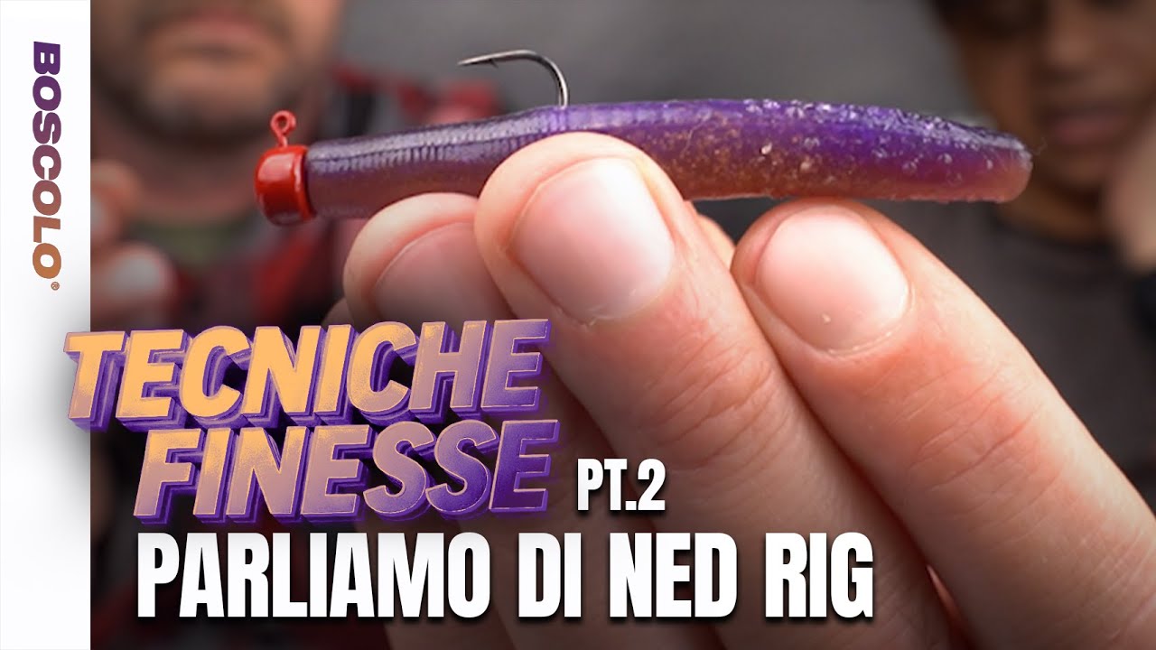 Parliamo di Ned Rig TECNICHE FINESSE con JIMMY ASHLOCK