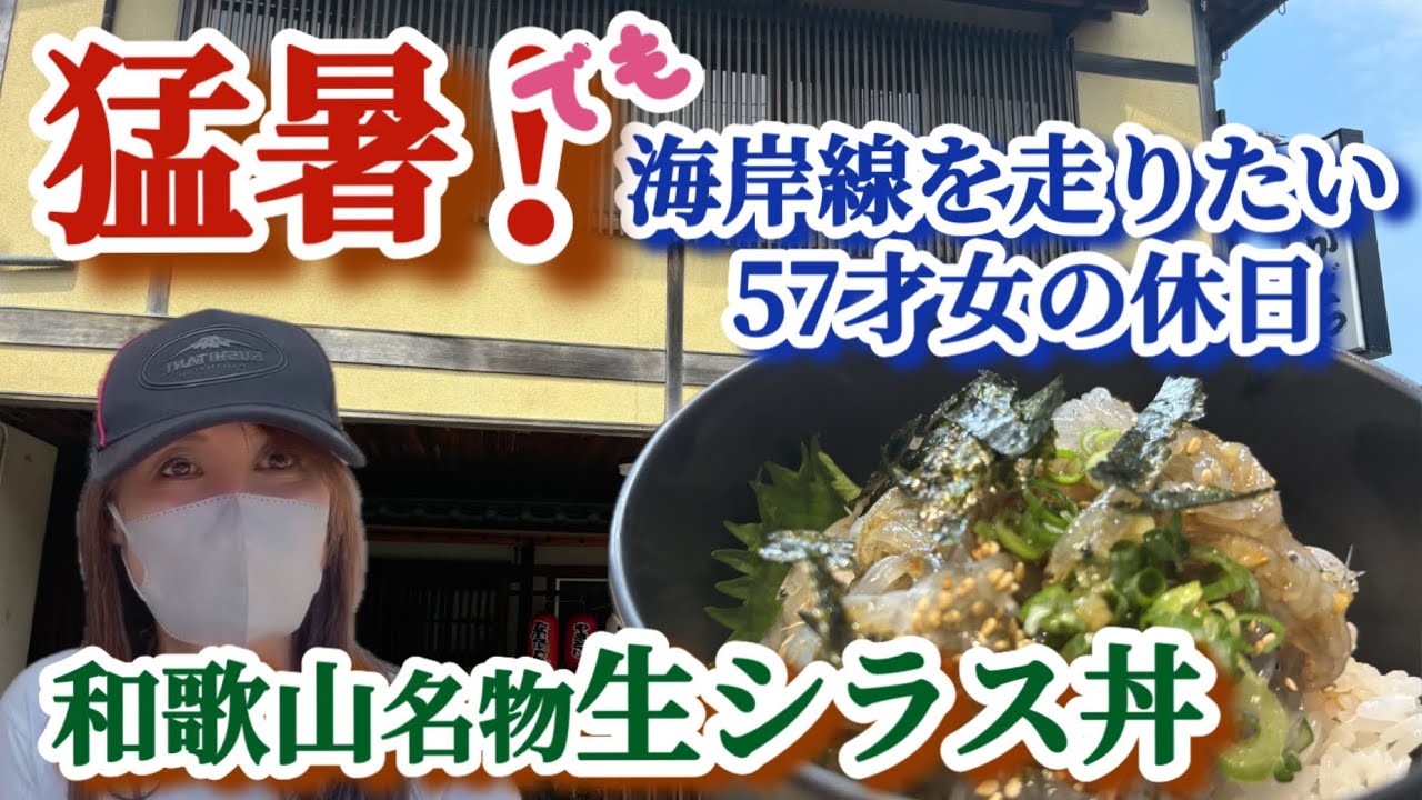 【和歌山グルメツーリング】名物生シラス丼醤油ソフト　夏の白崎海洋公園