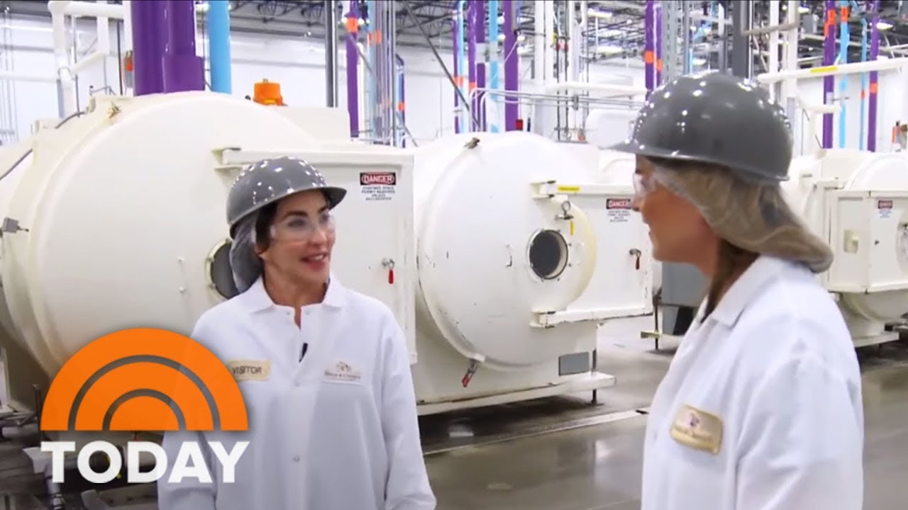 Meet Marie Moody, A Dog Lover, Who Started Her Own Pet Food Company | TODAY