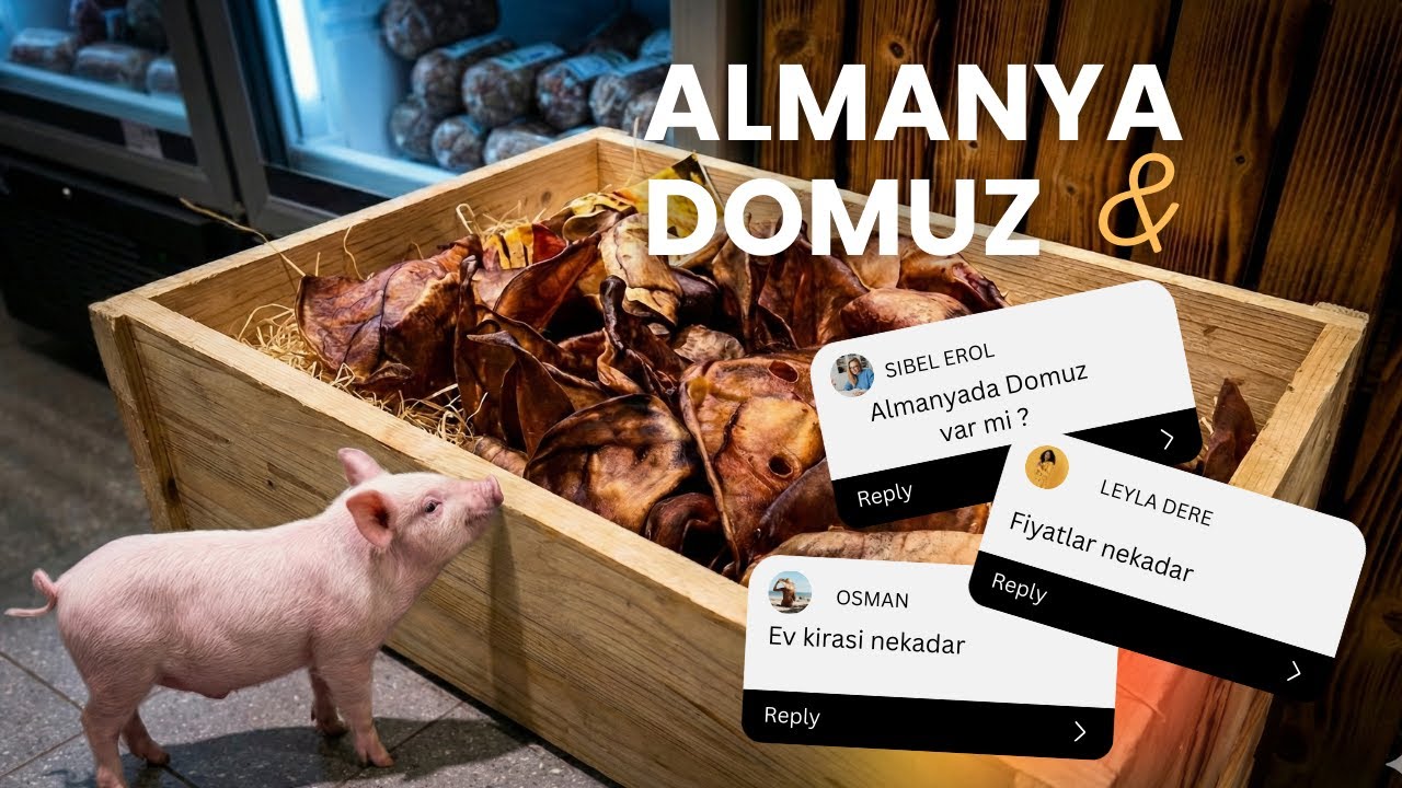 🐷 Almanya’da Domuz Kulağı ve Ev Bulduk sonunda
