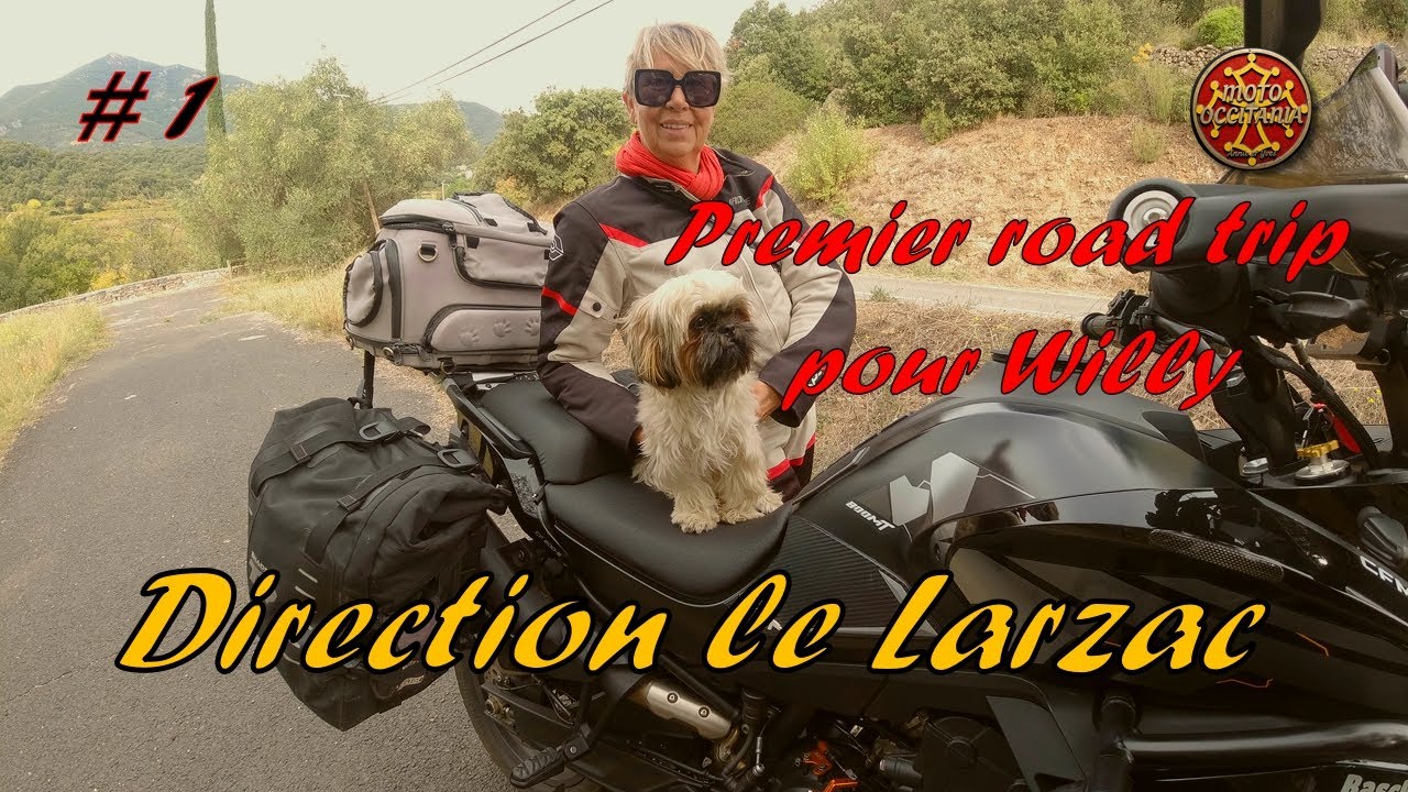 PREMIER ROAD TRIP DE WILLY