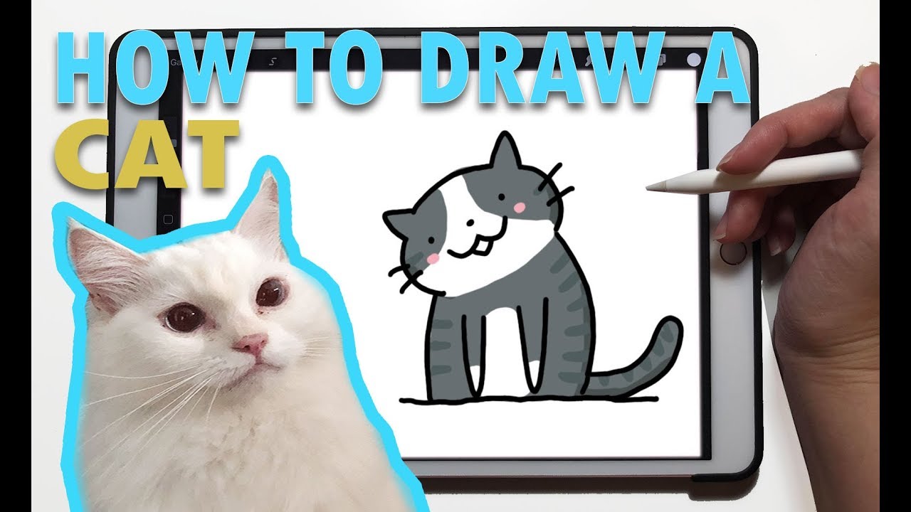 How to Draw A Cat | Easy Doodles on Procreate for Beginners #2