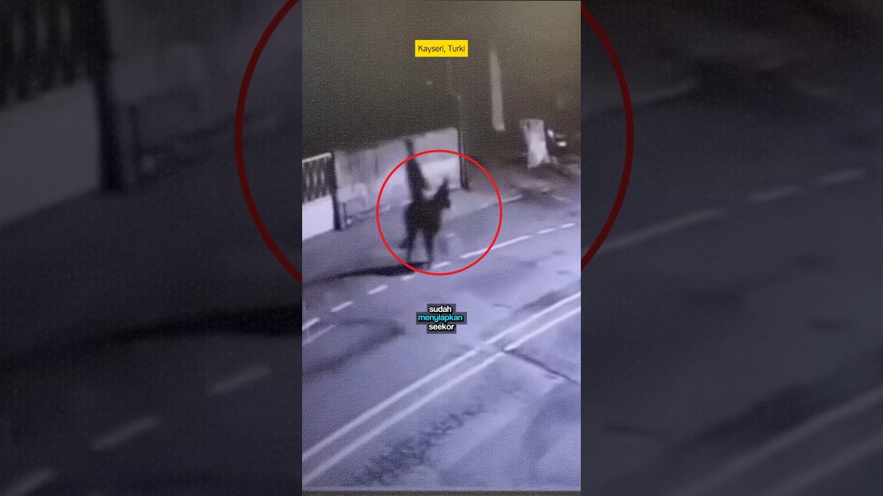 This unique thief's actions went viral globally