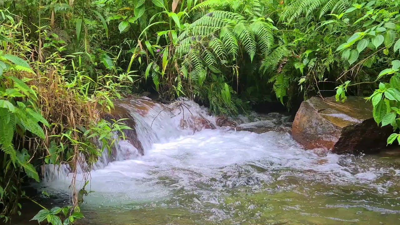 Moonlit River Waterfall – Soft Night Ambience for Relaxation and Deep Sleep