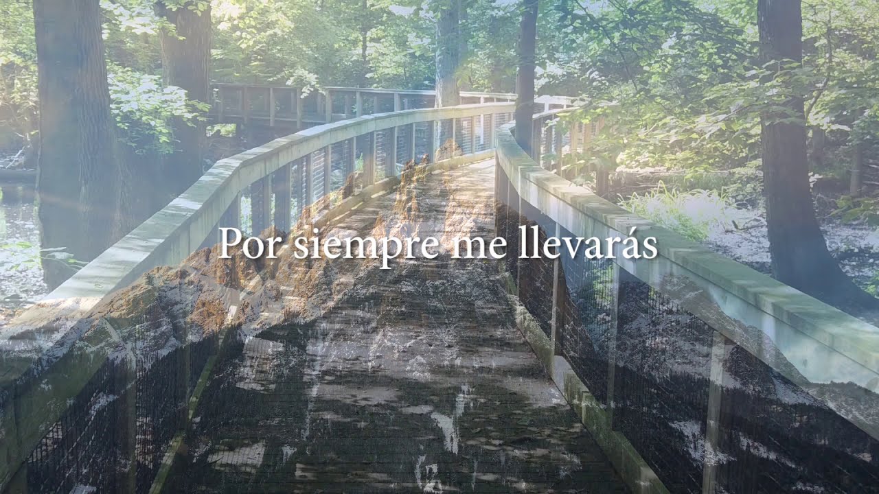 MI CONFIANZA ERES TU - PEREGRINOS Y EXTRANJEROS
