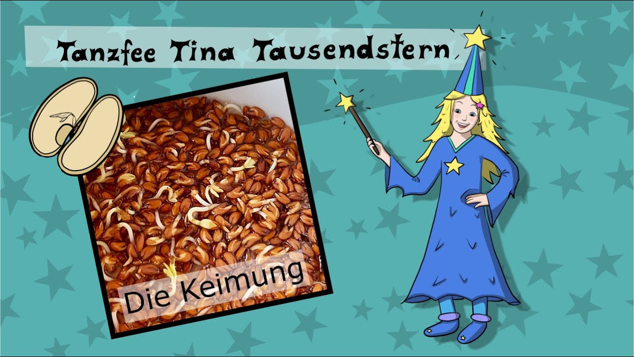 Die Keimung – Wissen für Kinder 🌱 | Wie aus einem Samen eine Pflanze wächst