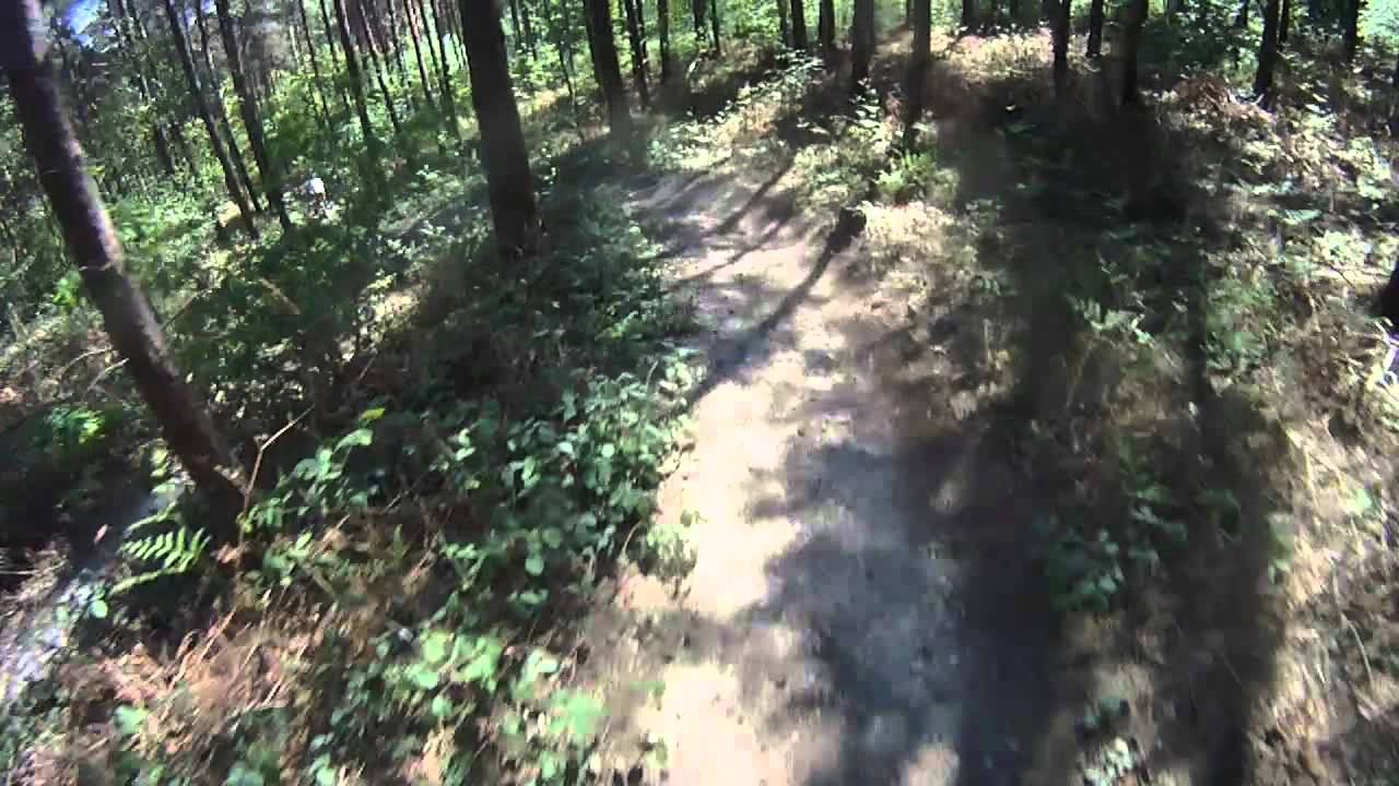 XC Loop Part 2 Bedgebury Mountain Bike Trail Centre Kent