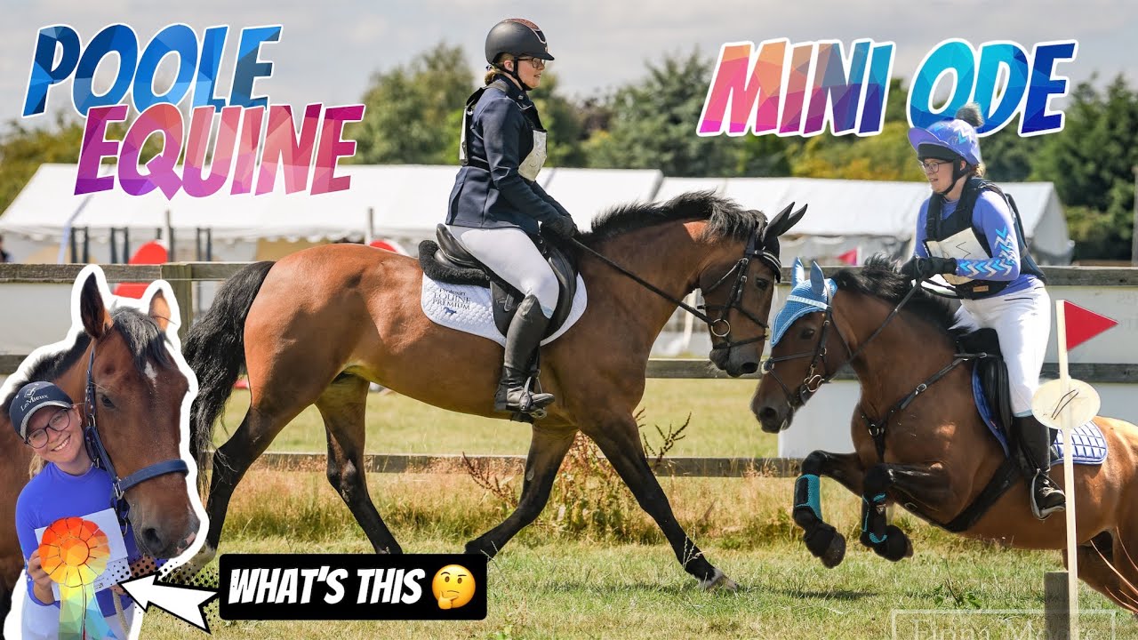 POOLE EQUINE MINI ODE| vlog🎉