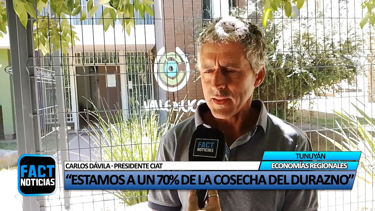 Economías regionales. Carlos Dávila: 