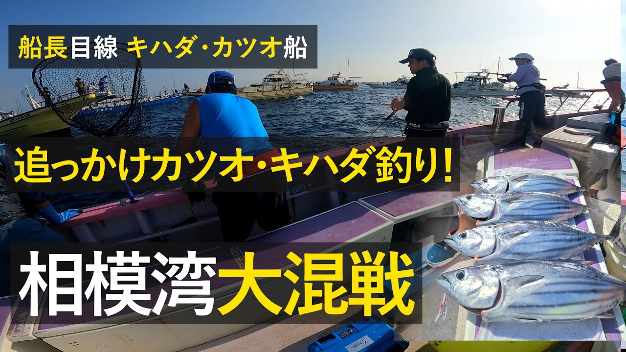 【船上が戦場】熱闘相模湾！おっかけコマセキハダ・カツオ船【船長目線】