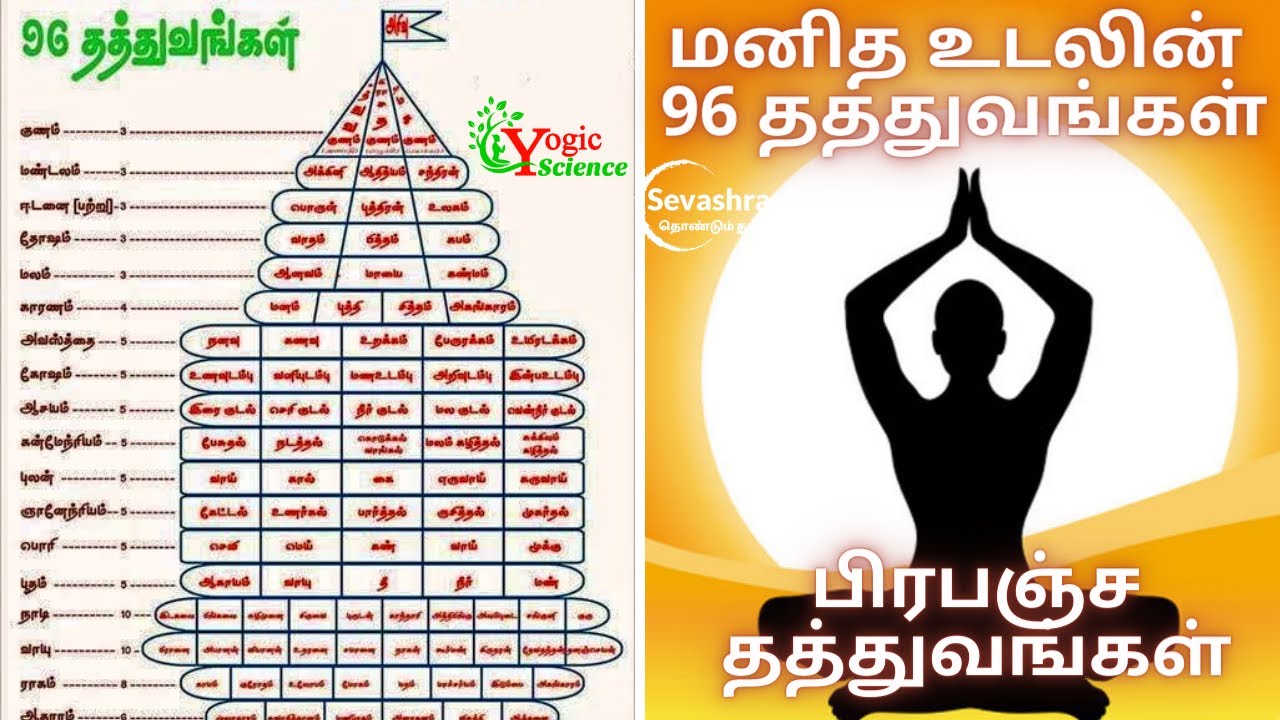 96 தத்துவங்கள் | Tathva 96 | மனித உடலின் 96 தத்துவங்கள் | YogicScience