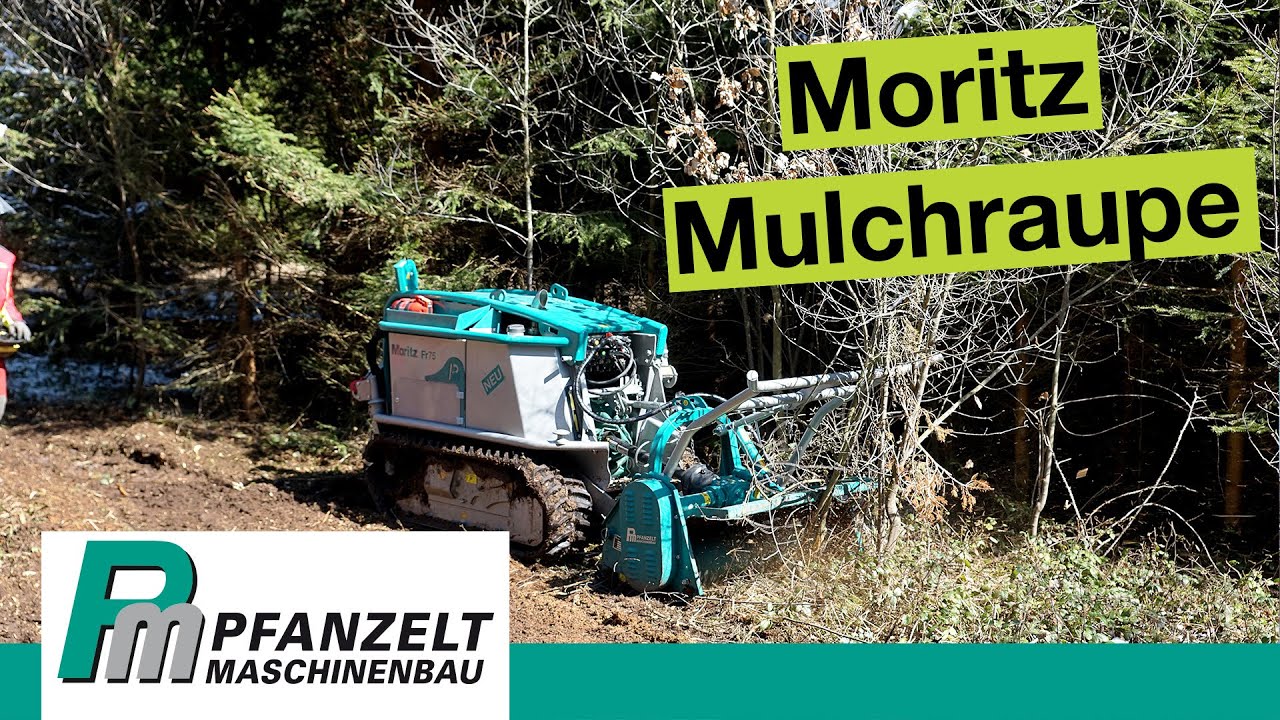 Forstraupe oder M&auml;hraupe Moritz Fr75 bei der Pflanzfl&auml;chenvorbereitung | im Einsatz als Mulchraupe