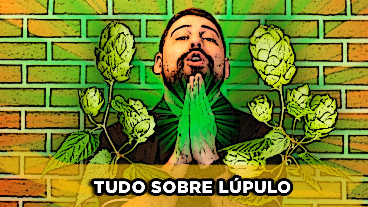 Lúpulo - Tudo que Você Precisa Saber