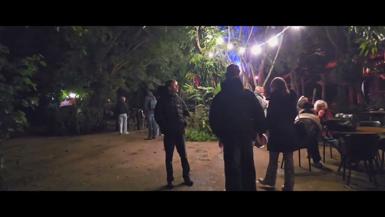 Wildlands Emmen Wildnights 2025 Kerstavond