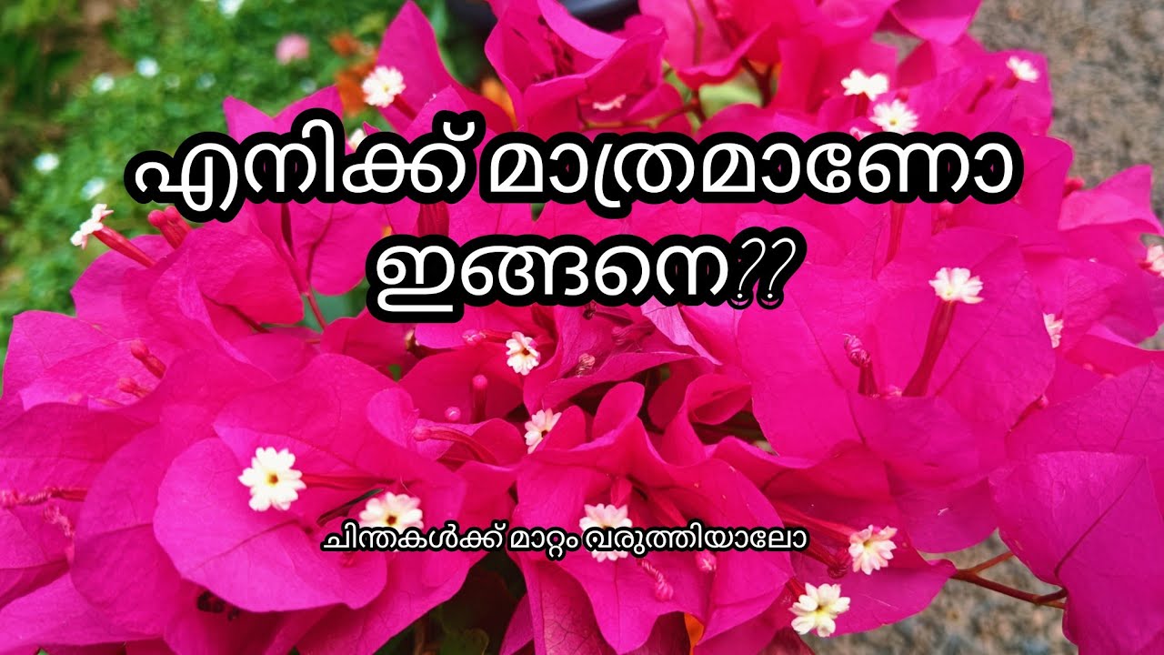 മാറി ചിന്തിക്കാൻ ഇനിയും സമയമുണ്ട് @quotesmalayalam 