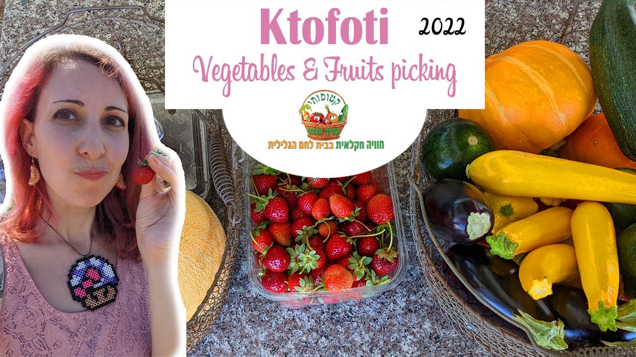 Ktofoti a fruit & vegetable picking farm at Bethlehem of Galilee | ביקור בקטופותי, בית לחם הגלילית