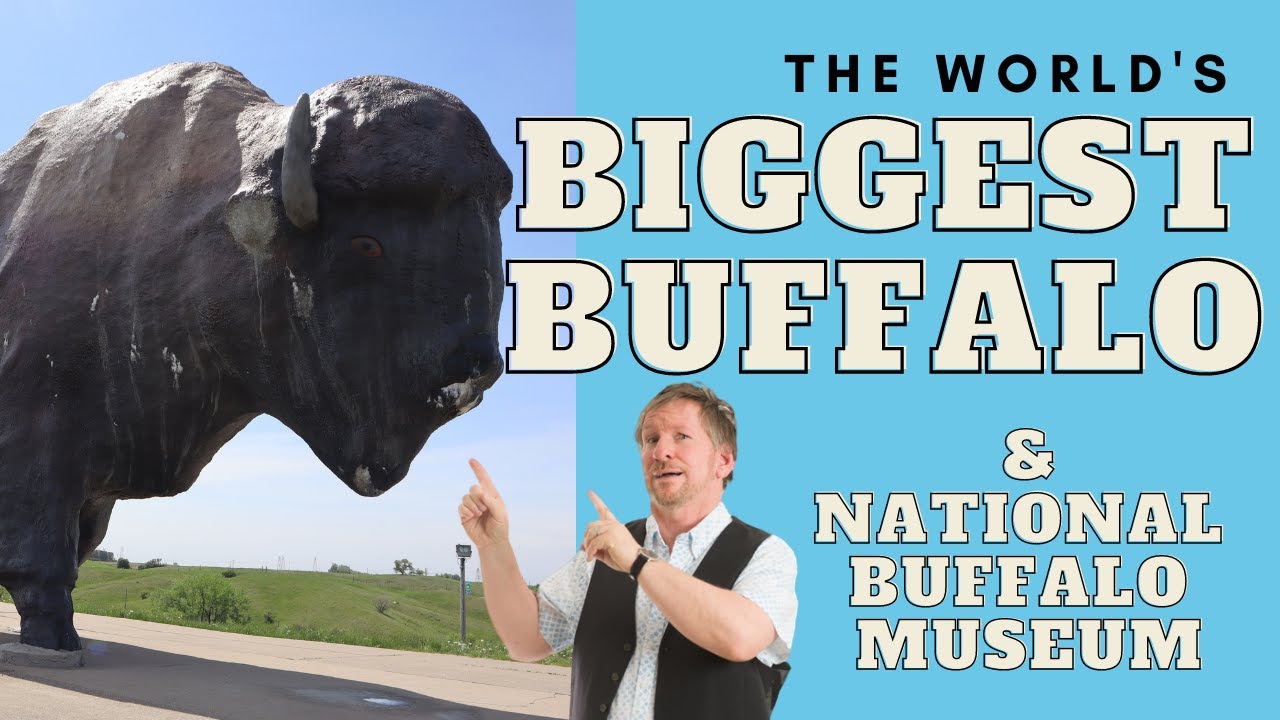 The World's Largest Buffalo and National Buffalo Museum.