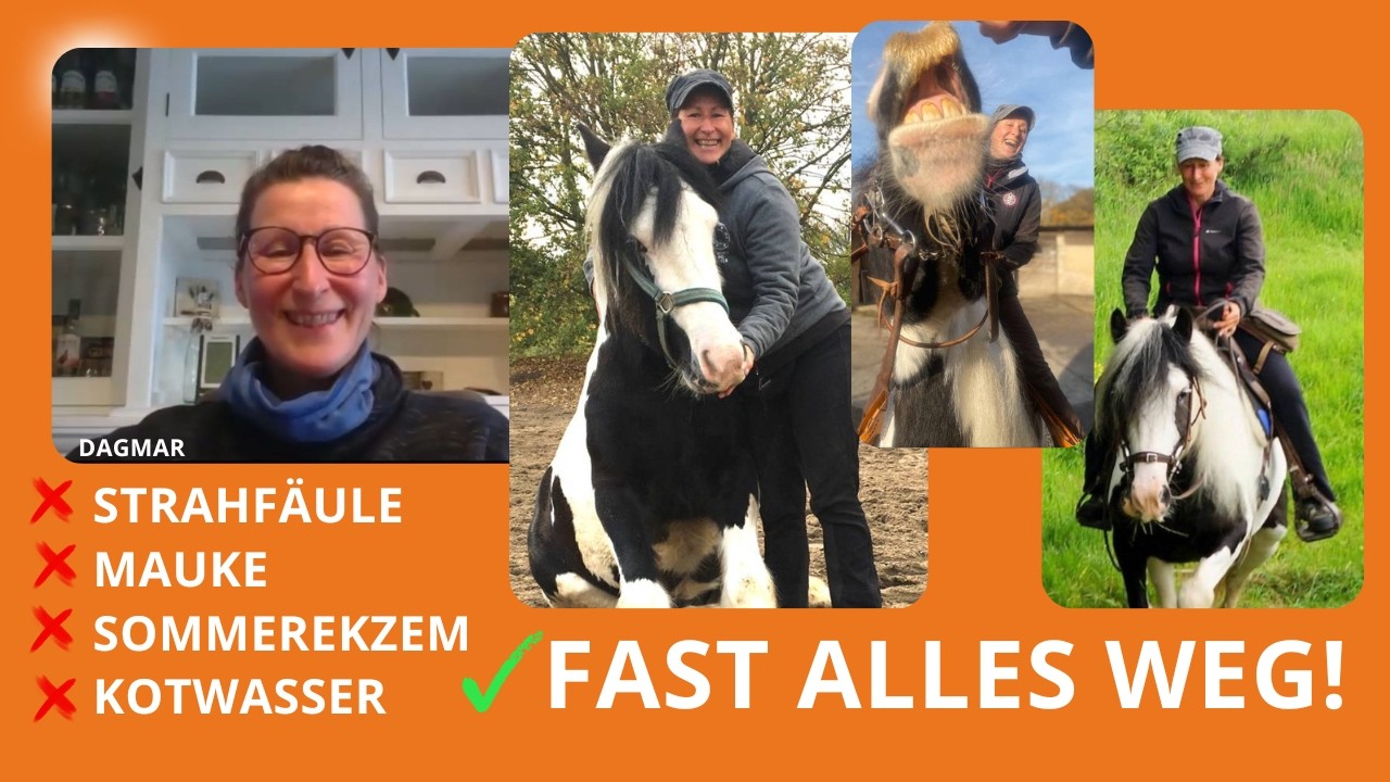 Mein depressives Pferd brachte mich zur Verzweiflung - bis ich begann, mit ihm zu kommunizieren