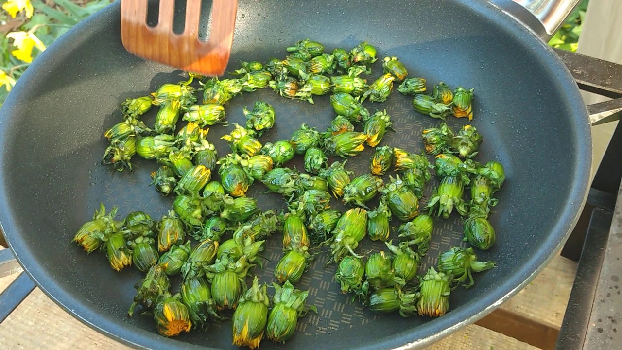 löwenzahnknospen braten