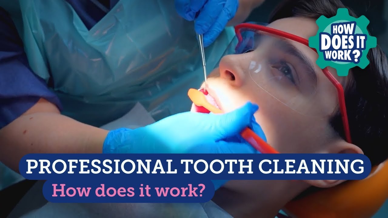 Professional Tooth Cleaning