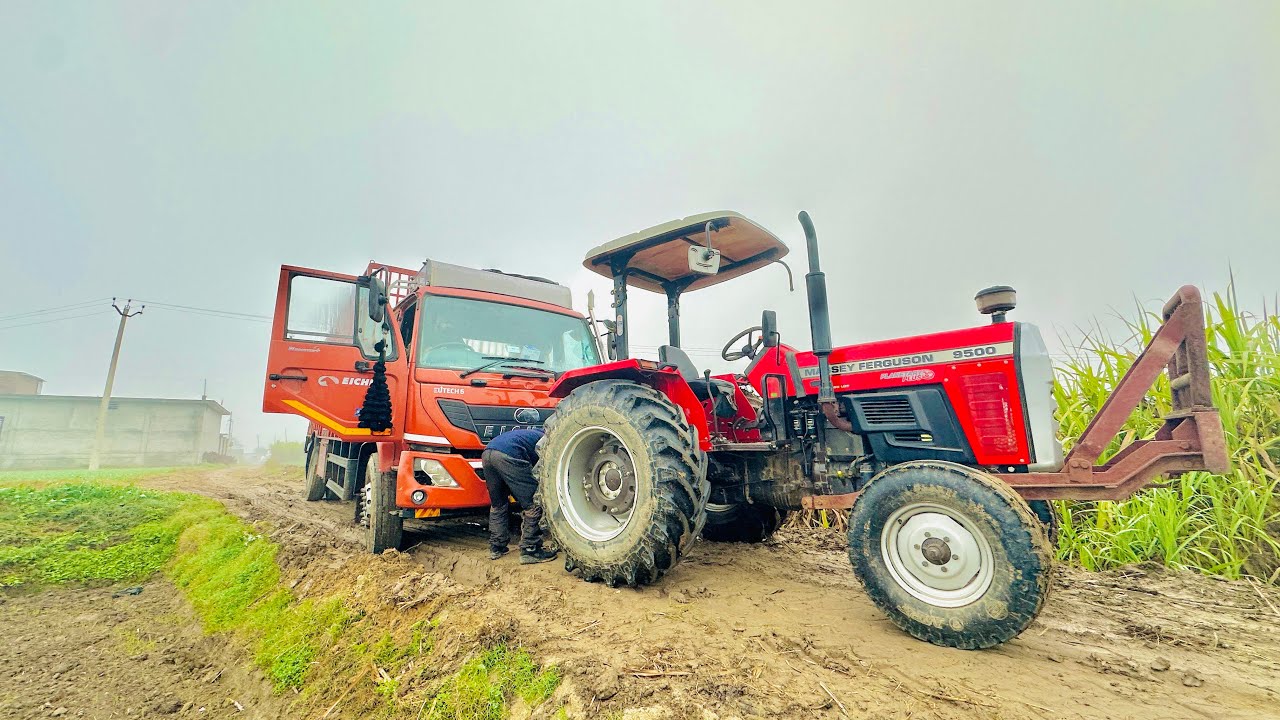 MASSY FERGUSON 9500 (turbo) PULLING TRUCK IN MUDDY ROAD 🥶🤩