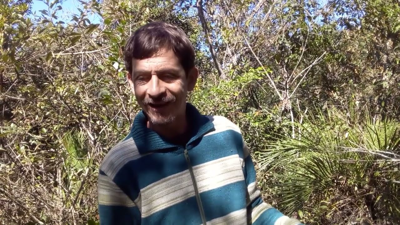 Expedição em busca do marolo (Annona crassiflora) e outras descobertas surpreendentes!