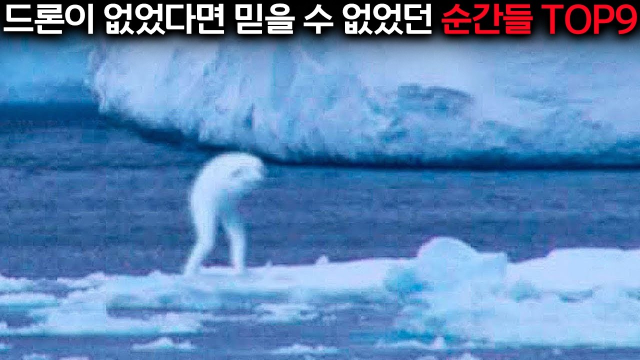 닝겐이 뭐야?