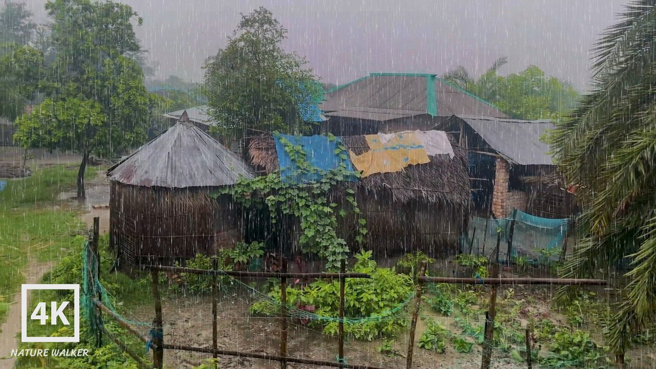 🌧️ Walking Alone in Village Rain | Peaceful Village Ambience on Rainy day | Nature Walker