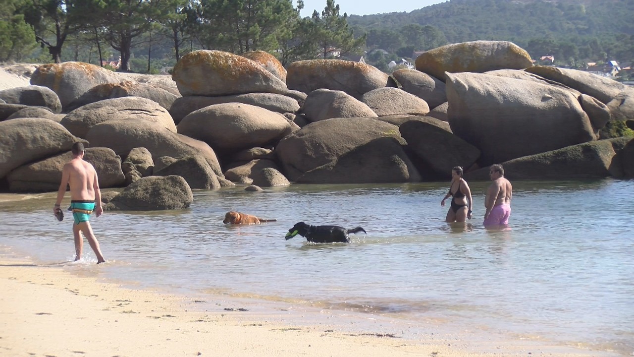 O Salnés consolídase como un dos destinos 'pet friendly' máis avanzados de España