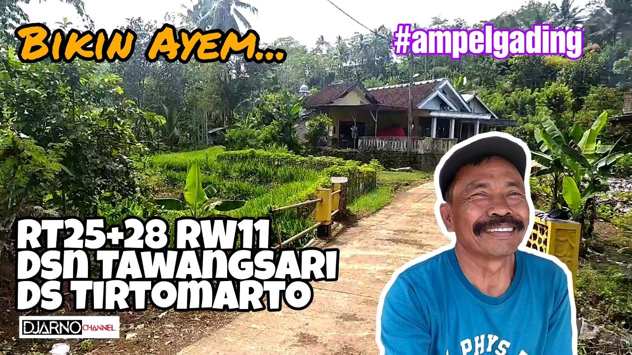 Suasana Kampung Yang Hijau Di RT25 dan 28 Dsn Tawangsari, Ds Tirtomarto, Ampelgading
