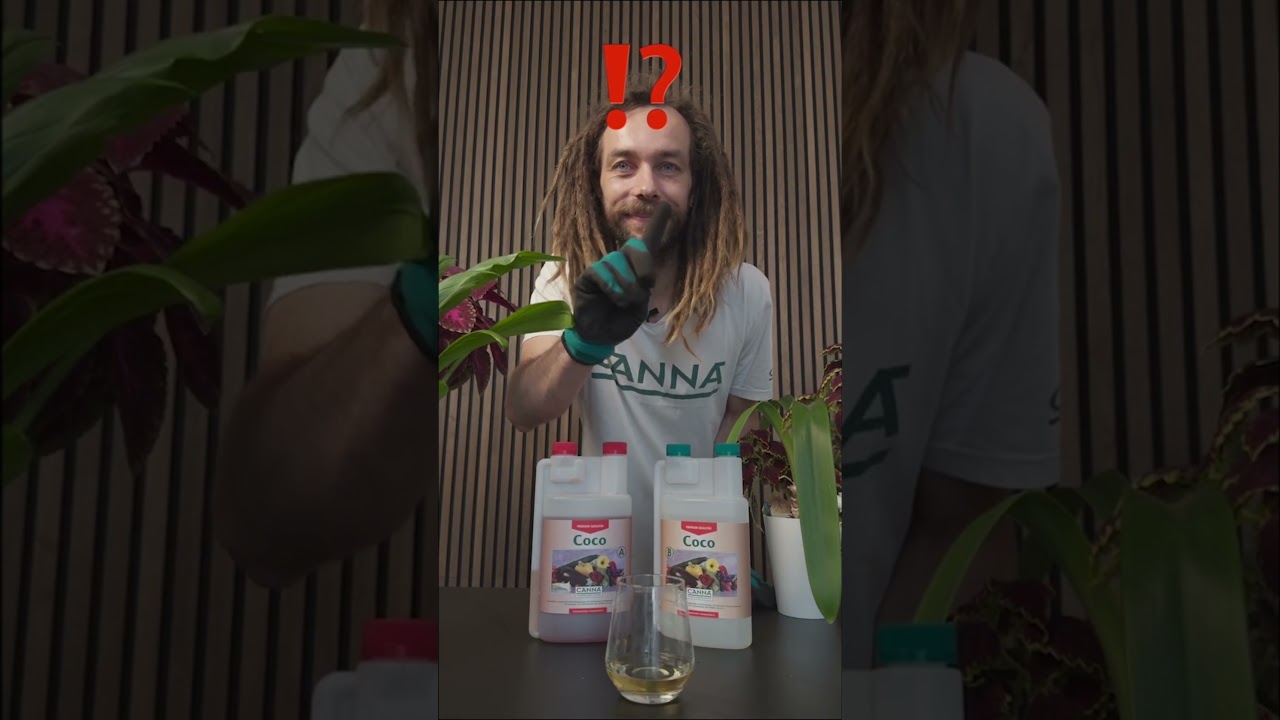 CANNA COCO A & B: so mischst du deinen Kokos-D&uuml;nger richtig! 🪴🥥🌴 #d&uuml;nger #kokos #shortsvideo