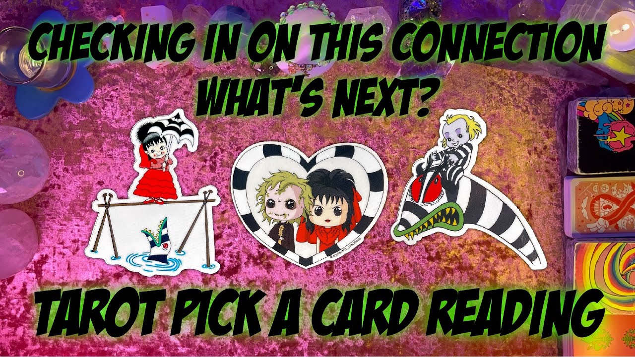 💘Checking In On This Connection💘 What’s Going On and What’s Next!? Tarot Pick a Card Love Reading