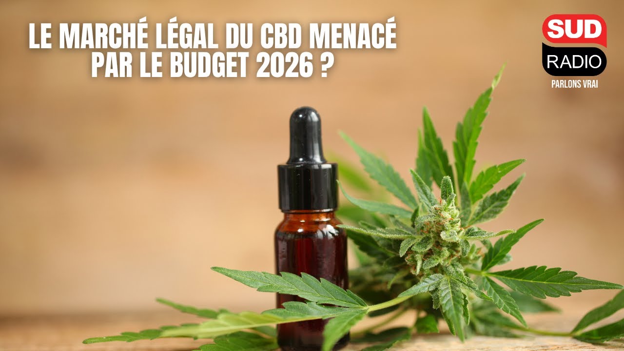 Le march&eacute; l&eacute;gal du CBD menac&eacute; par le budget 2026 ?