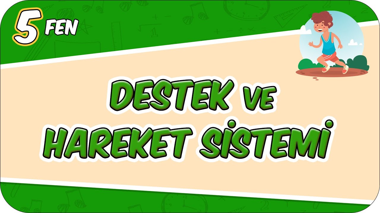 Destek ve Hareket Sistemi 📗 5FEN8 #2026