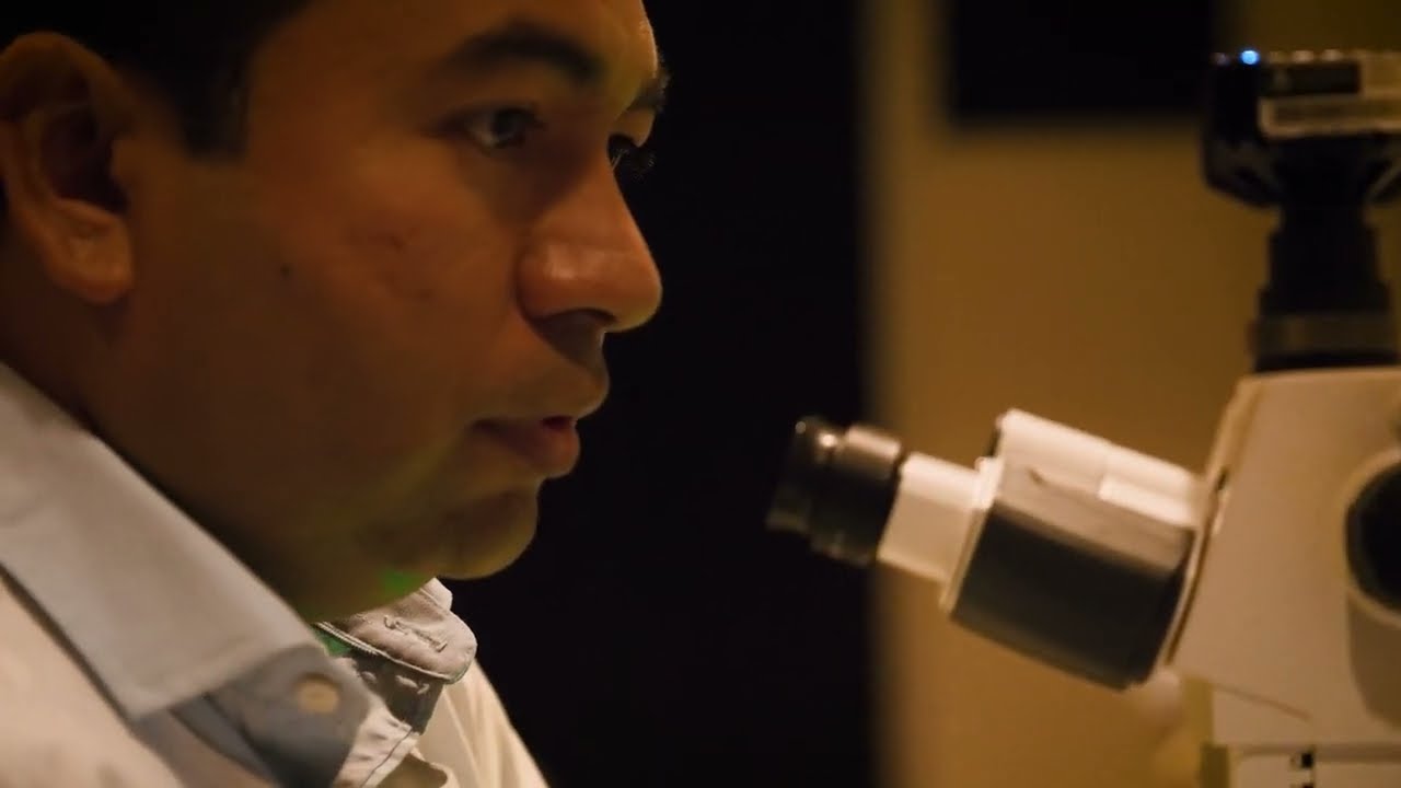 Dr Richard Gordon makes the link between Parkinson's and the gut microbiome - Documentary clip.