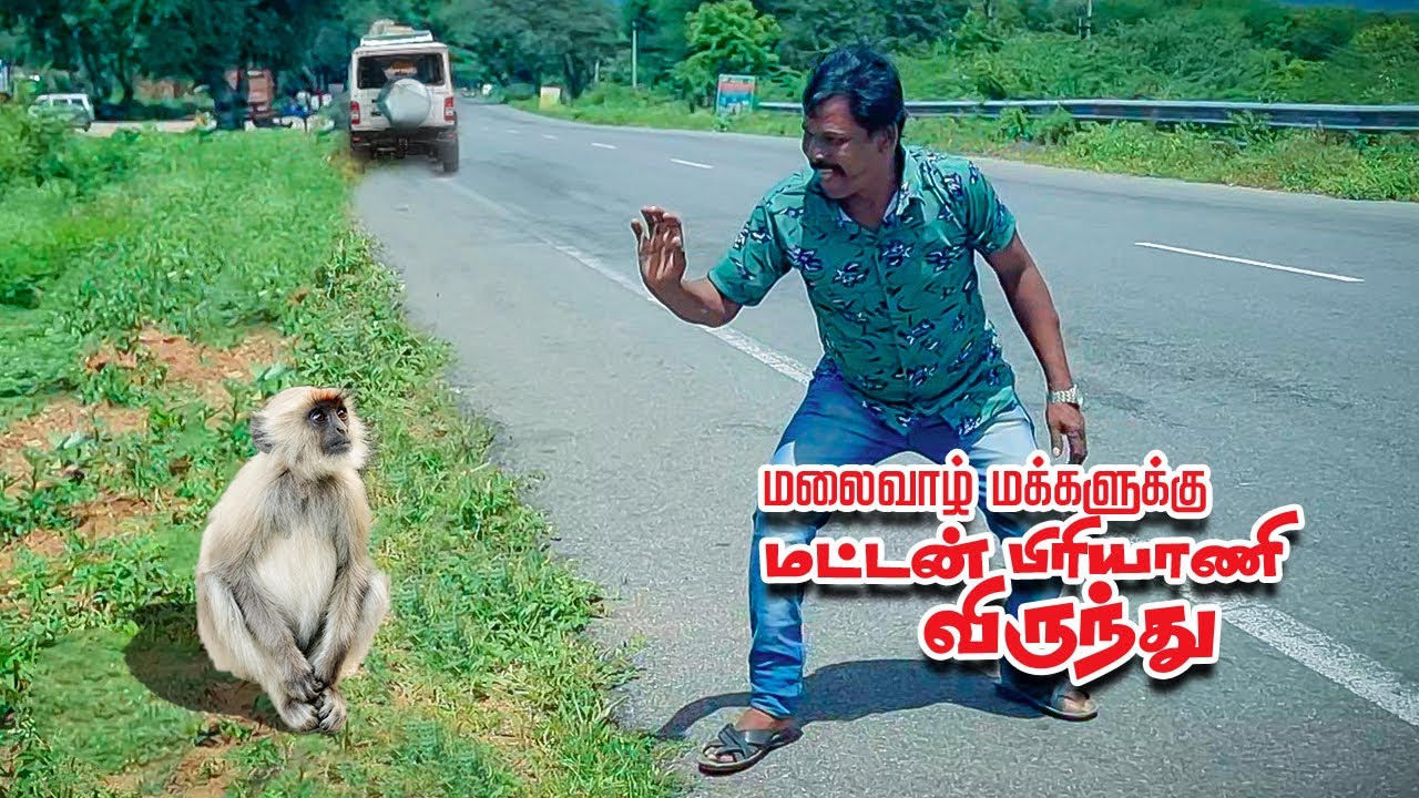 சத்தியமங்கலம் காட்டில் வாழும் மலை வாழ் மக்களுக்கு மட்டன் பிரியாணி விருந்து | Sathyamangalam forest