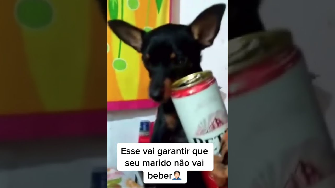 Proibido beber!