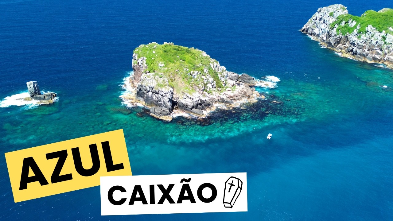 +15m de Visibilidade! O Dia Mais INSANO de Pesca Submarina da Temporada!