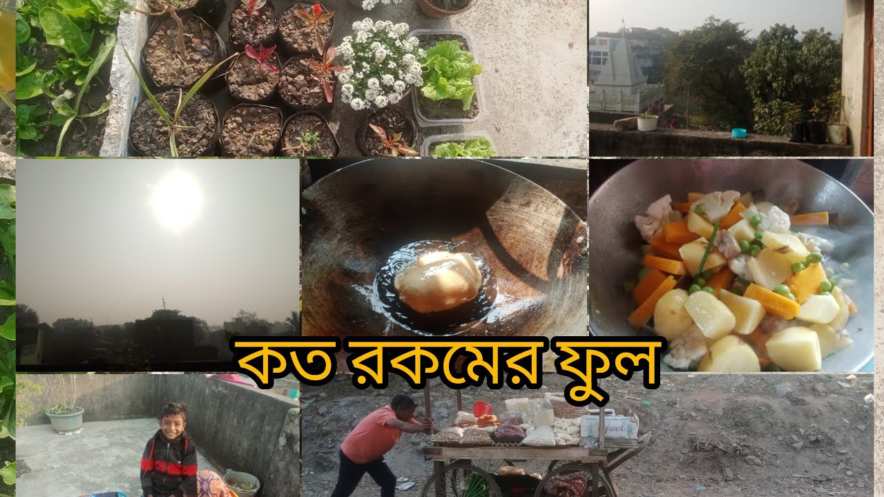 শীতের সবজির দাম একটু কম হয় এবছর তা হলো না 🍊🥬🌺