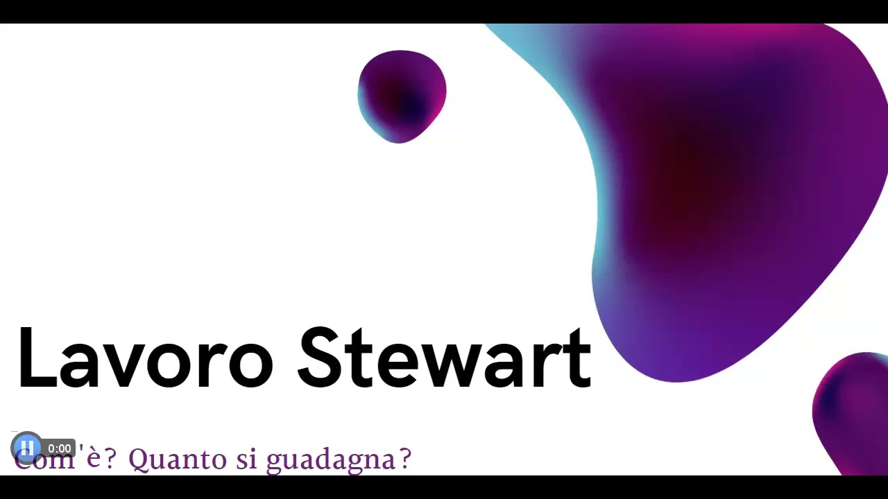 Come è fare lo stewart allo stadio?